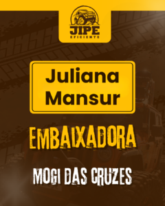 ID Jipe Eficiente (69)